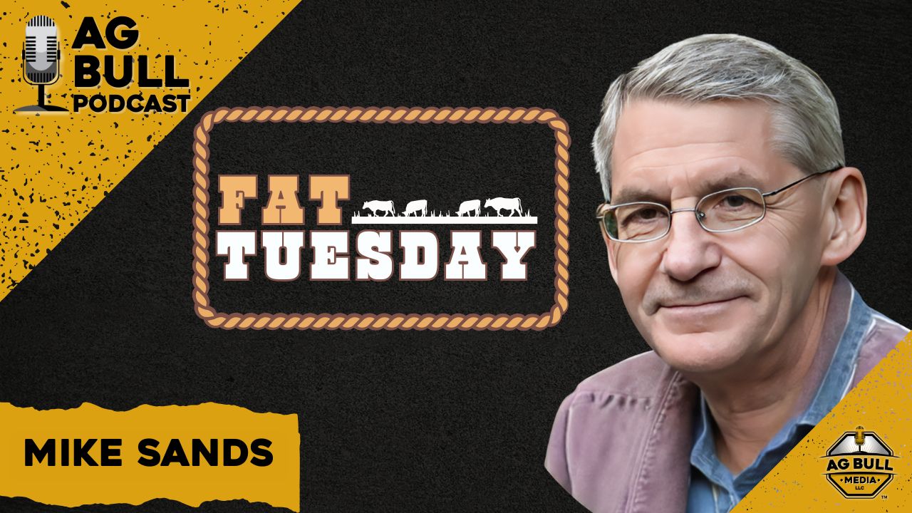 Fat Tuesday | Trump says he can lower Beef prices!