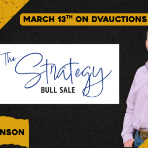 Trevor Johnson | The Strategy Bull Sale