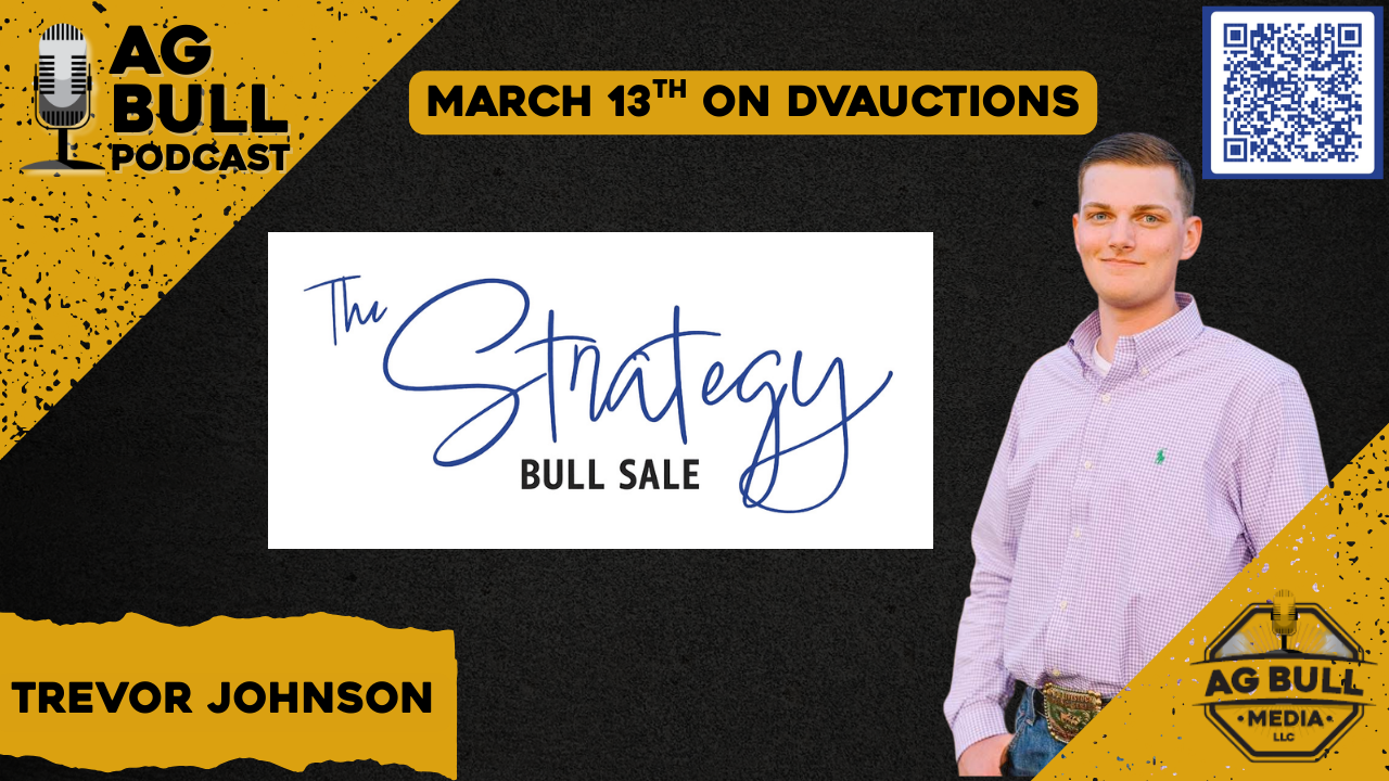 Trevor Johnson | The Strategy Bull Sale